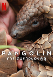 การเดินทางของคูลู